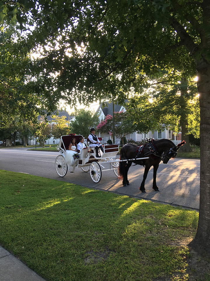 Wedding couple in a carriage in Edenton, NC