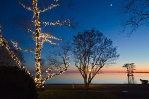 A brightly lit tree stands by a tranquil body of water, capturing the festive spirit of Edenton Christmas.