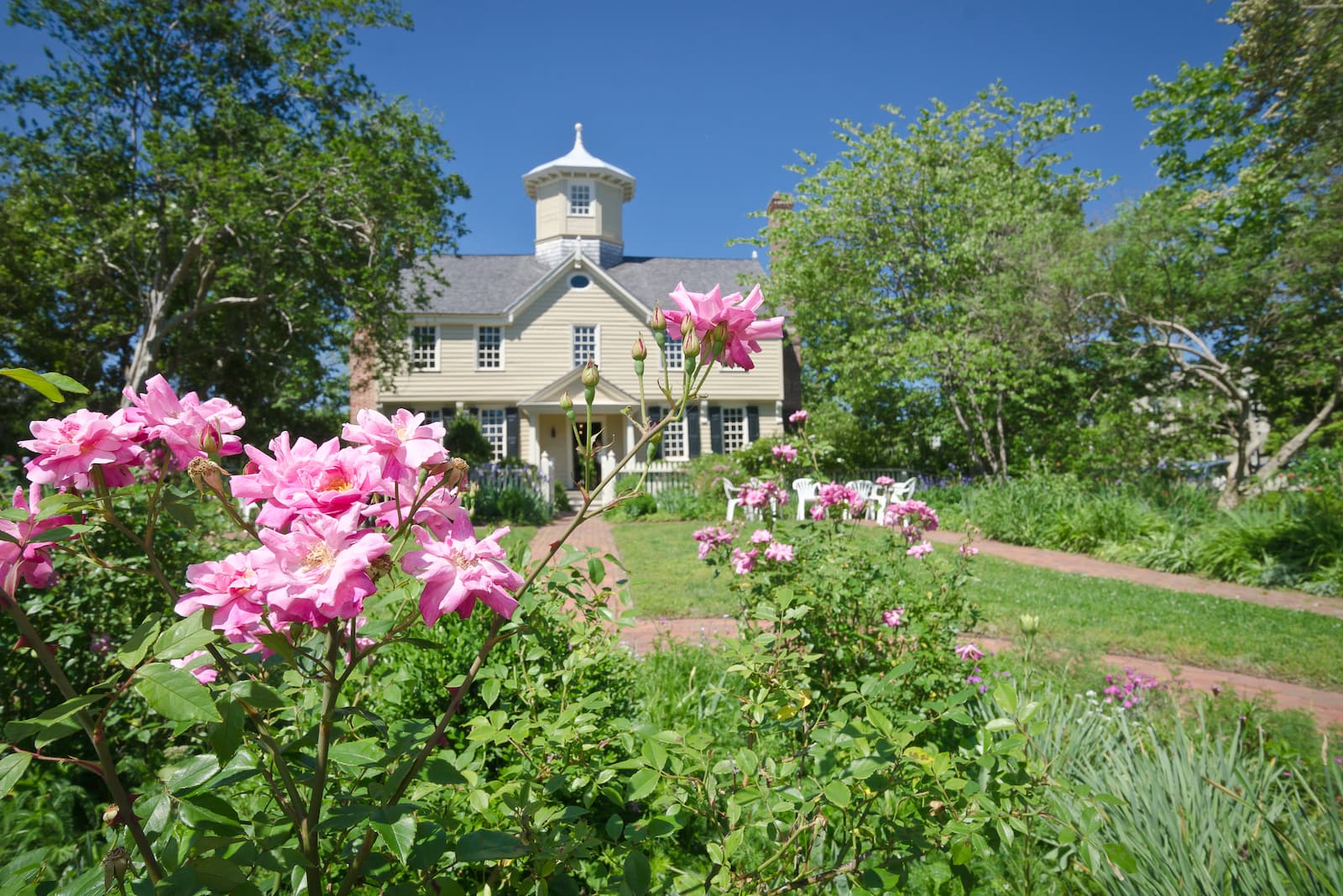 Flowers blooming in the gardens at Cupola House Gardens in Edenton, NC