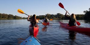 A group of coworkers kayaking in North Carolina as a team building activity